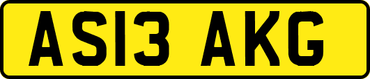 AS13AKG