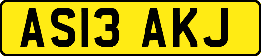 AS13AKJ