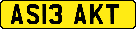 AS13AKT