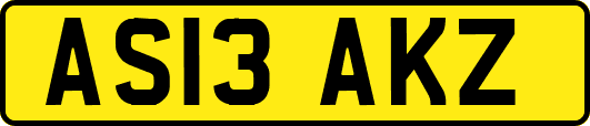 AS13AKZ