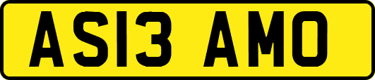 AS13AMO