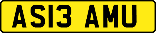 AS13AMU