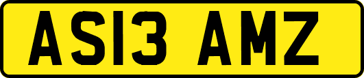 AS13AMZ