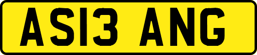 AS13ANG