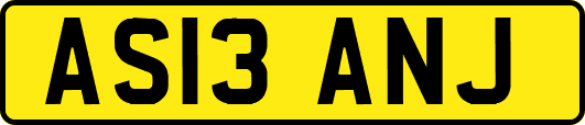AS13ANJ