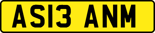 AS13ANM