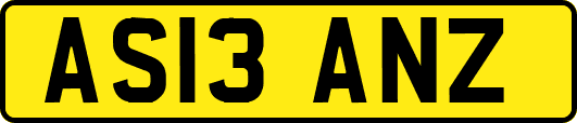 AS13ANZ