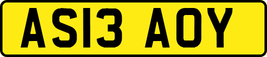 AS13AOY