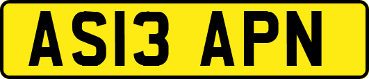 AS13APN