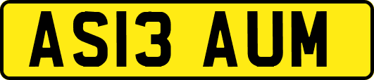 AS13AUM