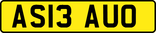 AS13AUO