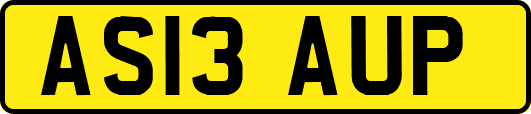 AS13AUP