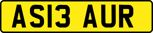 AS13AUR