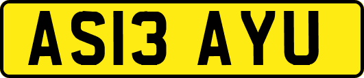 AS13AYU