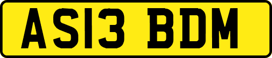 AS13BDM