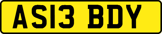 AS13BDY
