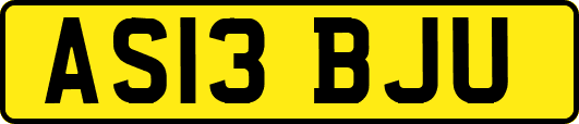 AS13BJU