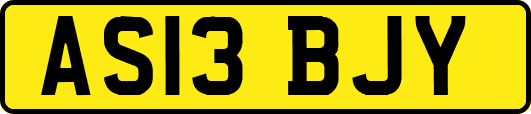 AS13BJY