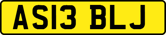 AS13BLJ