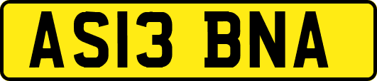 AS13BNA