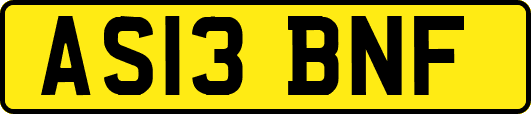 AS13BNF