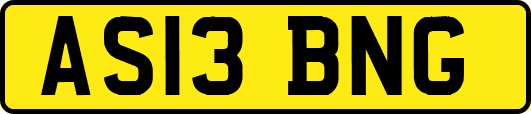 AS13BNG