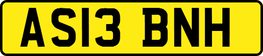 AS13BNH