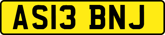 AS13BNJ