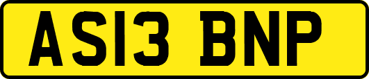 AS13BNP