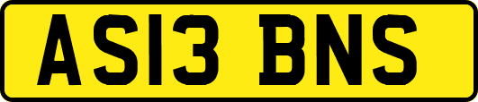 AS13BNS