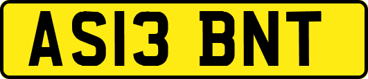 AS13BNT