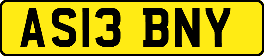 AS13BNY