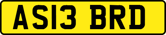 AS13BRD