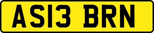 AS13BRN