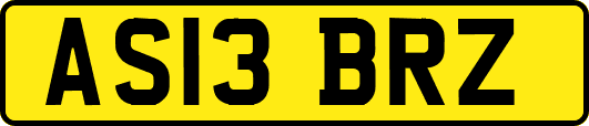 AS13BRZ