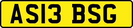 AS13BSG