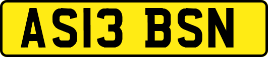 AS13BSN