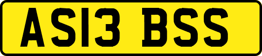 AS13BSS