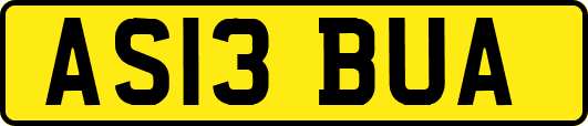 AS13BUA