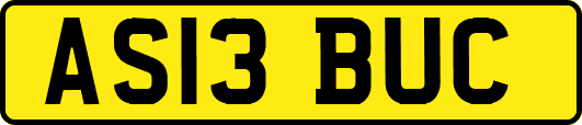 AS13BUC
