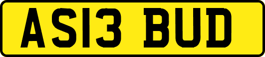 AS13BUD