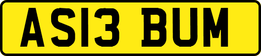 AS13BUM