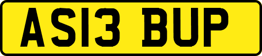 AS13BUP