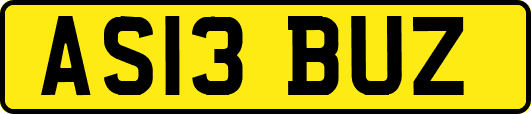 AS13BUZ