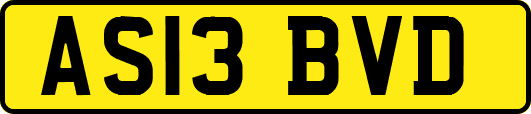 AS13BVD
