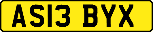 AS13BYX