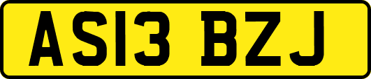 AS13BZJ