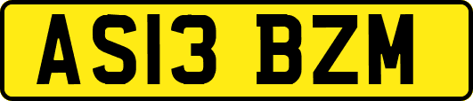 AS13BZM