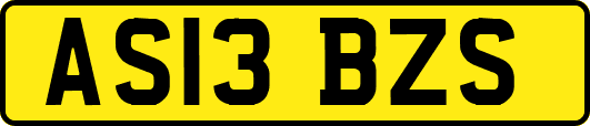AS13BZS