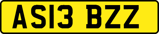 AS13BZZ